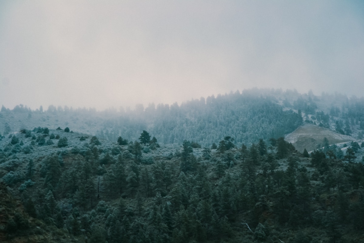 Wanderlust in the Mountains